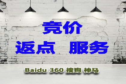 百度推广代理的投放策略及效果评估案例
